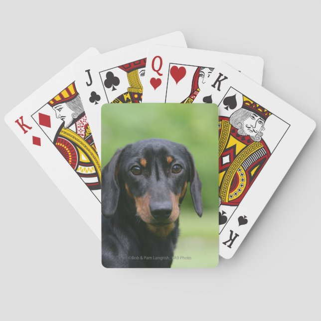 Baralho Preto e Dachshund 1 de Tan Miniture (Verso)