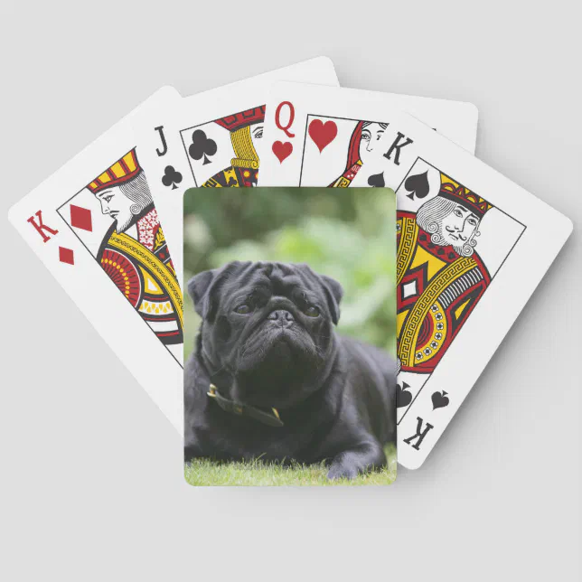 Qual é o verdadeiro significado das cartas do baralho? - Bodog