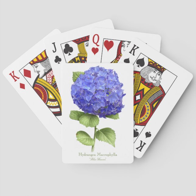 Baralho Projeto de Arte Botânica de Flor de Hortênsia Azul (Verso)