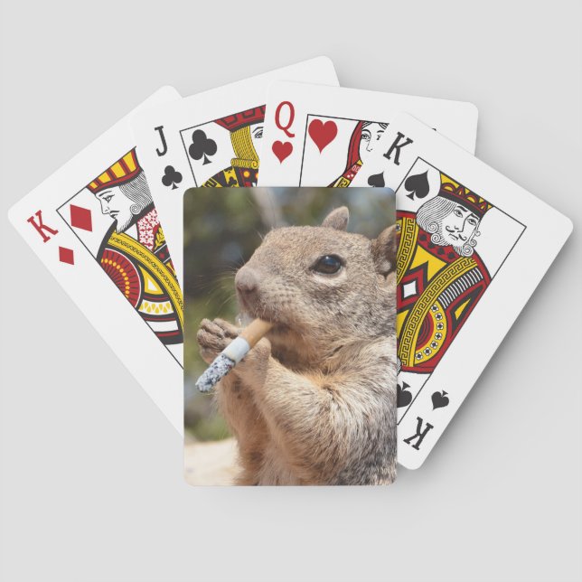 Baralho Puf the Squirrel Playing Cards (Verso)