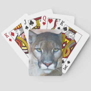 Baralho Puma, leão-da-montanha, pantera-da-flórida, Puma 2
