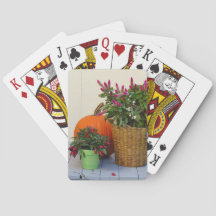 Pumpkin e Pepper Plant - Martha's Vineyard