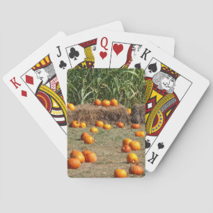 Baralho Pumpkins, Milho e Fotografia de Colheita de outono