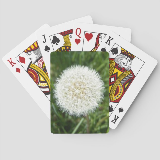 Baralho punheta de dandelion (Verso)