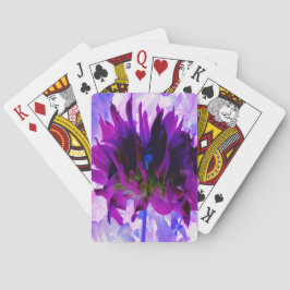 Baralho Púrpura e preto Cactus Dahlia