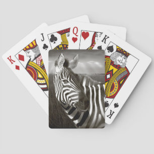 Baralho Quênia. Preto e branco de zebra e planície.