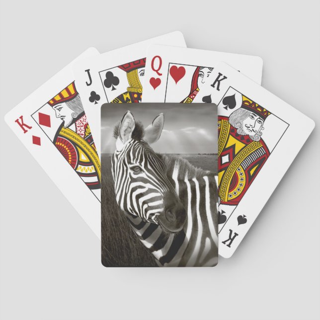 Baralho Quênia. Preto e branco de zebra e planície. (Verso)