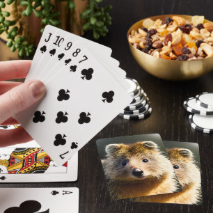 Baralho Quintin Ginger Quokka, Deck De Cartões
