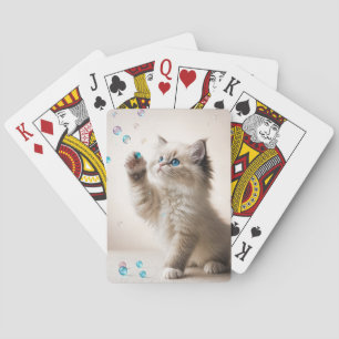 Baralho Ragdoll Kitten Brincando Com Bolhas