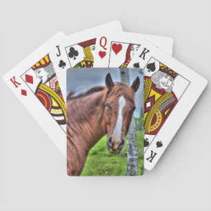 Baralho Red Dun Ranch Horse Mare Animal lover Foto
