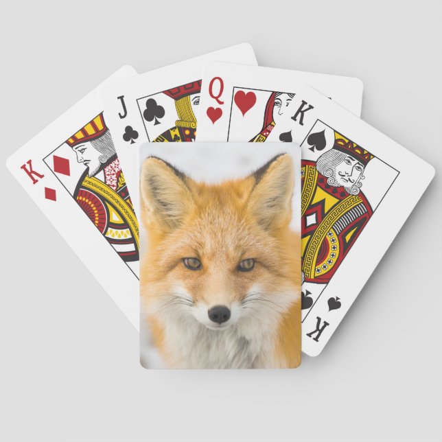 Baralho Red Fox Portrait (Verso)