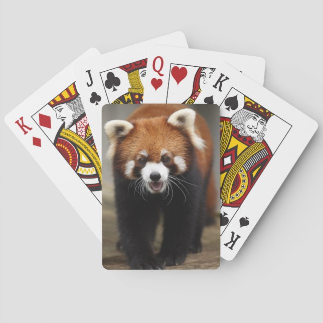 Baralho Red Panda (Verso)