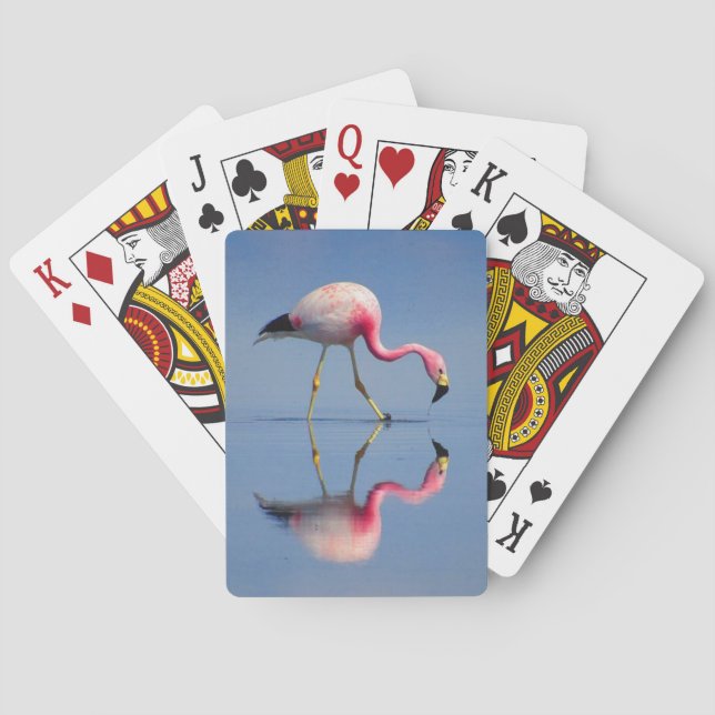 Baralho reflexão flamingo (Verso)