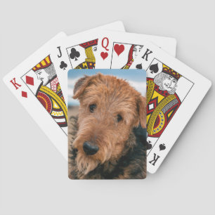 Baralho Retrato de Airedale Terrier 2