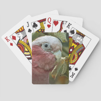 Baralho Retrato de Ave Australiana Galah Cockatoo Rosa