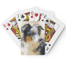 retrato de cão pastor australiano