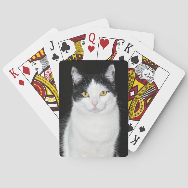 Baralho Retrato de Gato Preto e Branco (Verso)