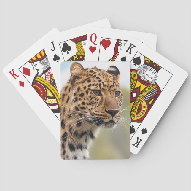 Baralho Retrato de Leopardo (Verso)