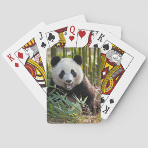 Baralho Retrato de Panda Sorridente
