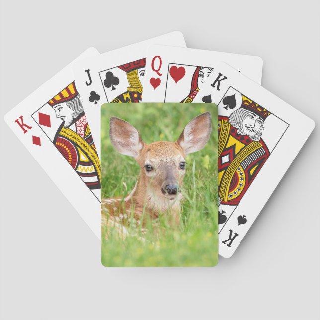 Baralho Retrato de uma Fawn (veado branco) (Verso)