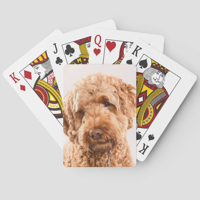 Baralho Retrato do Goldendoodle Studio (Verso)