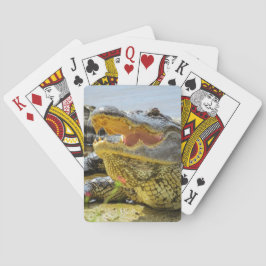 Baralho Retrato do jacaré americano - Cara a cara