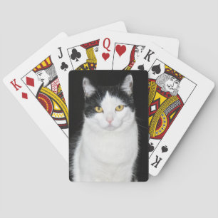 Baralho Retrato preto e branco do gato