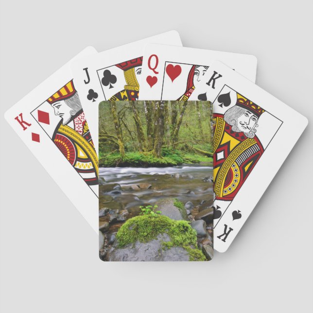 Baralho Rio em floresta verde, Oregon (Verso)