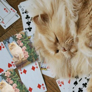 Baralho Rosa do Gato Persa