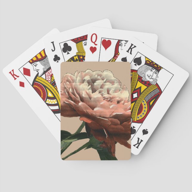 Baralho Rosa vermelha Ruby com Destaques Brancos (Verso)