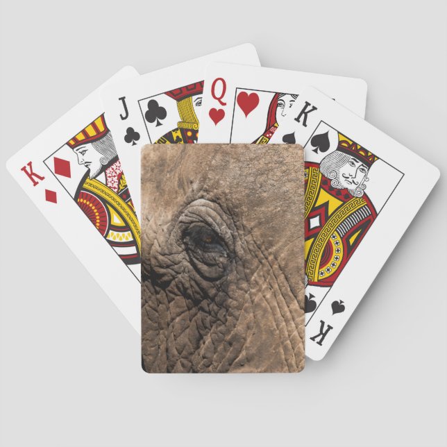 Baralho Rosto de um Elefante (Verso)