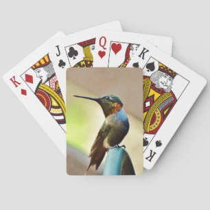 Baralho Rubi empoleirado e colibri pequeno verde