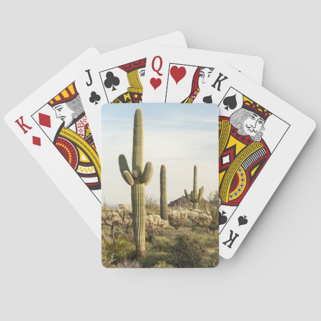 Baralho Saguaro Cactus, Arizona,EUA (Verso)