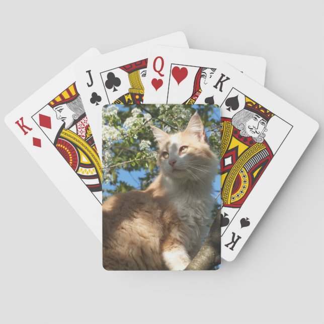 Baralho Sahara Cat em uma Árvore Jogando Cartões (Verso)