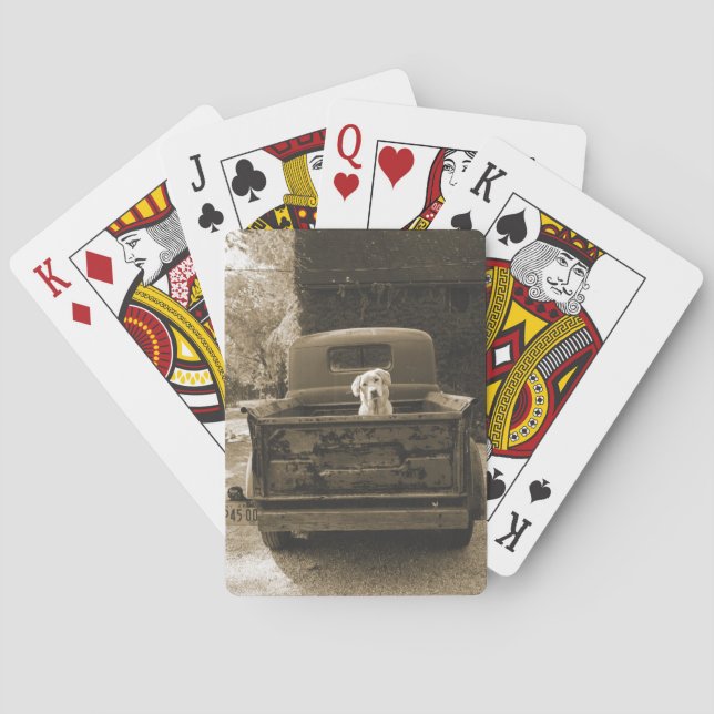 Baralho Saia do Dodge - Fotografia Canina (Verso)