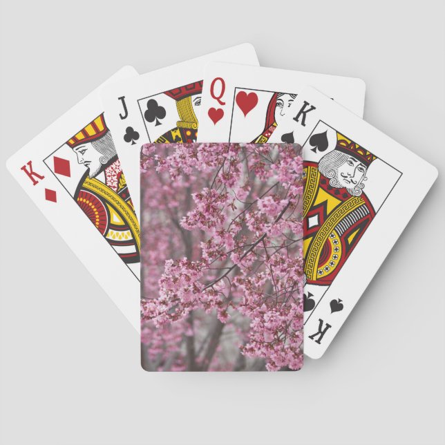 Baralho Sakura Cherry Blossoms Fluindo Rosa (Verso)