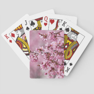 Baralho Sakura Cherry Blossoms Pastel Pink Camadas