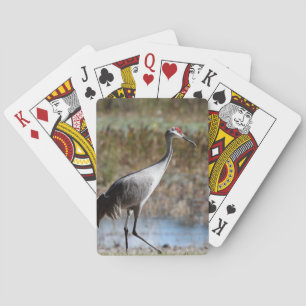 Baralho Sandhill Crane