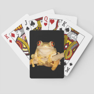 Baralho Sapo