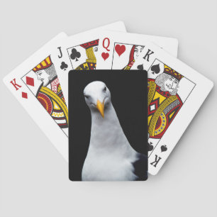 Baralho Seagull