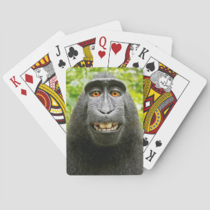 Baralho Selfie de Macaco