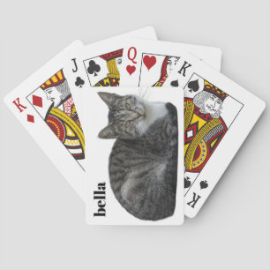 Baralho Seu Nome de Gato e Modelo de Foto de Animal de Est