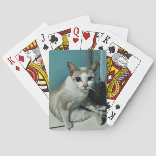 Baralho Siamese Cat Friend