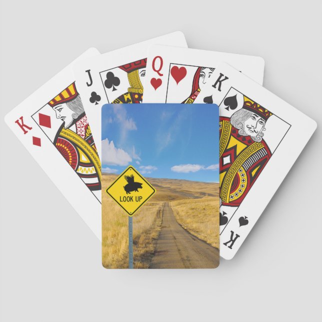 Baralho Sinal de Suíno Voador (Verso)