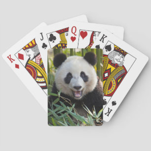 Baralho Smiling Panda Portrait