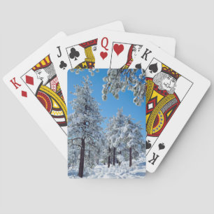 Baralho Snow-covered trees in the Laguna Mountains