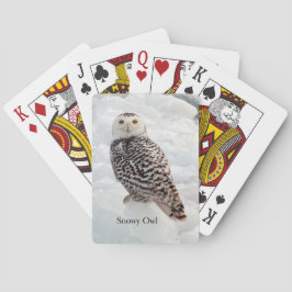 Baralho Snowy Owl jogando cartas