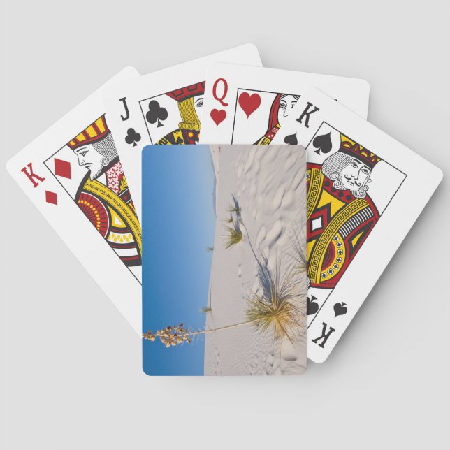 Baralho Soaptree Yucca, longa sombra, dunas transversais (Verso)