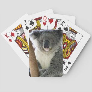 Baralho sorriso koala