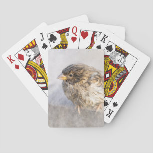 Baralho Sparrow - Falha Epic Previsão do Tempo